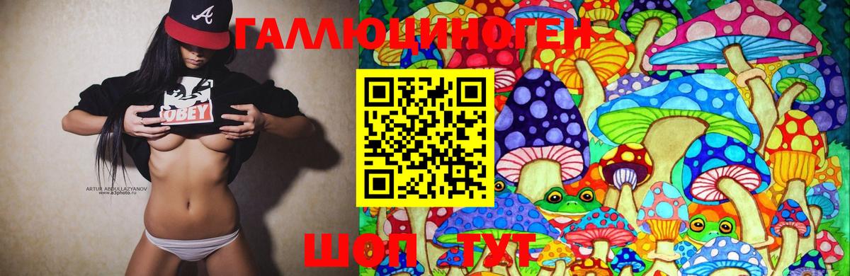 Галлюциногенные грибы мицелий Сокол